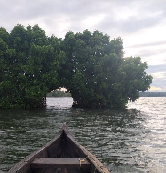 A Canoe trip in Kerala